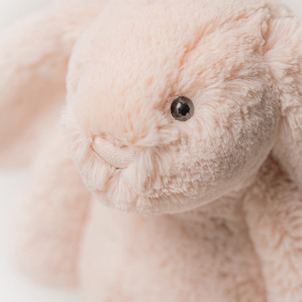 Bashful Bunny