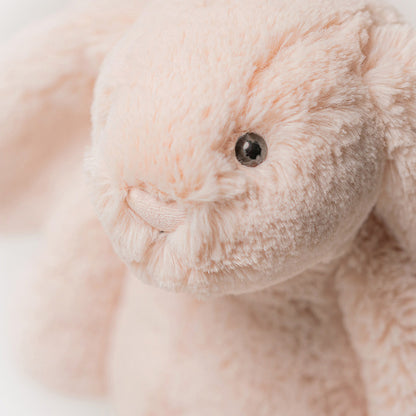 Bashful Bunny