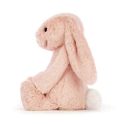 Bashful Bunny