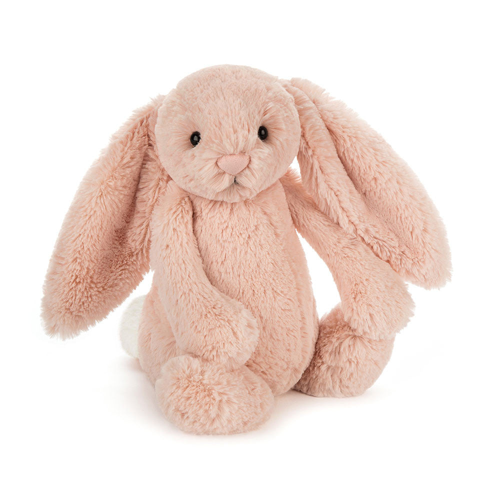 Bashful Bunny