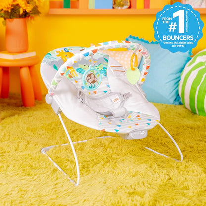 Baby Bouncer Soothing Vibrations Infant Seat