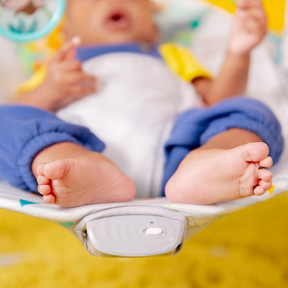 Baby Bouncer Soothing Vibrations Infant Seat