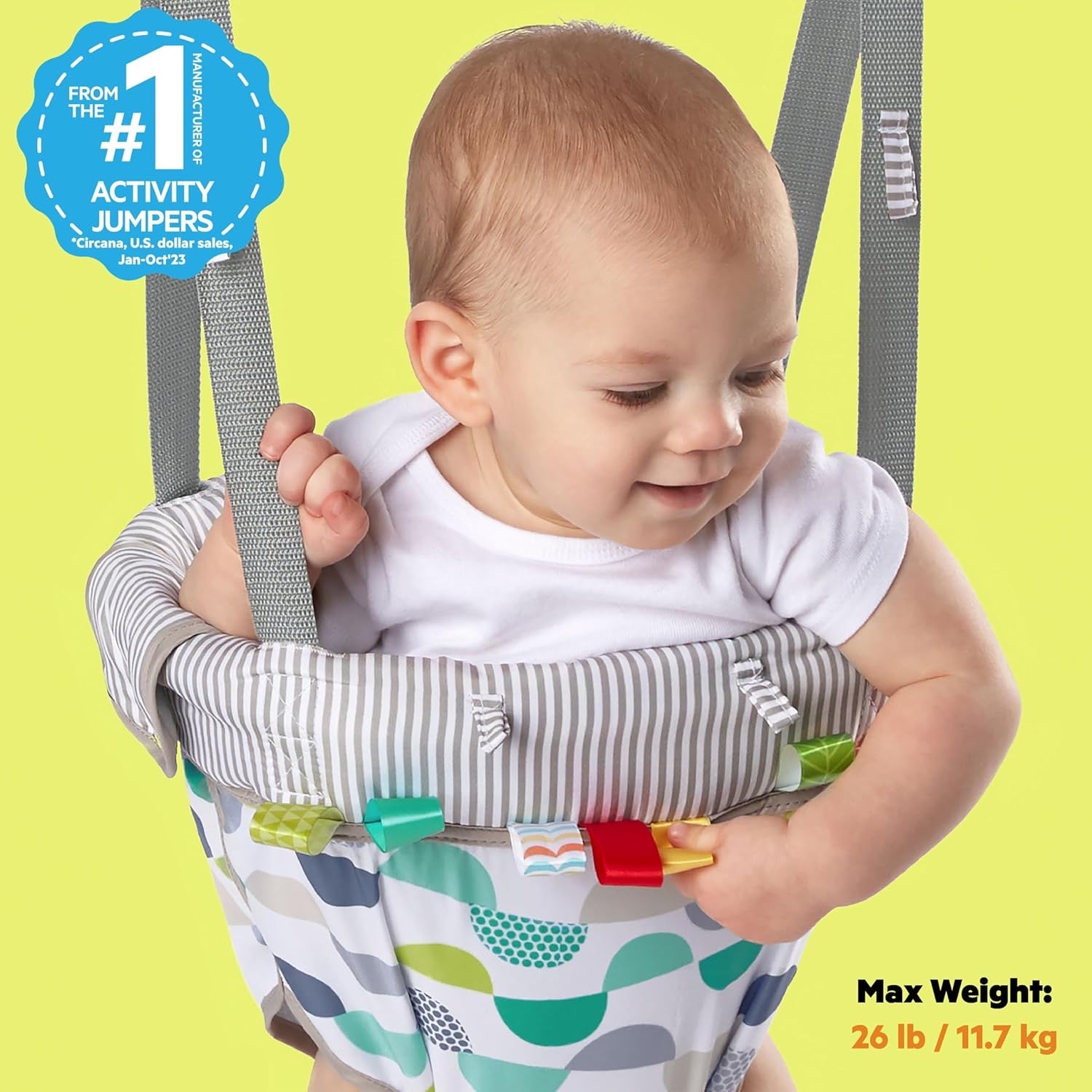 Playful Parade Door Jumper for Baby