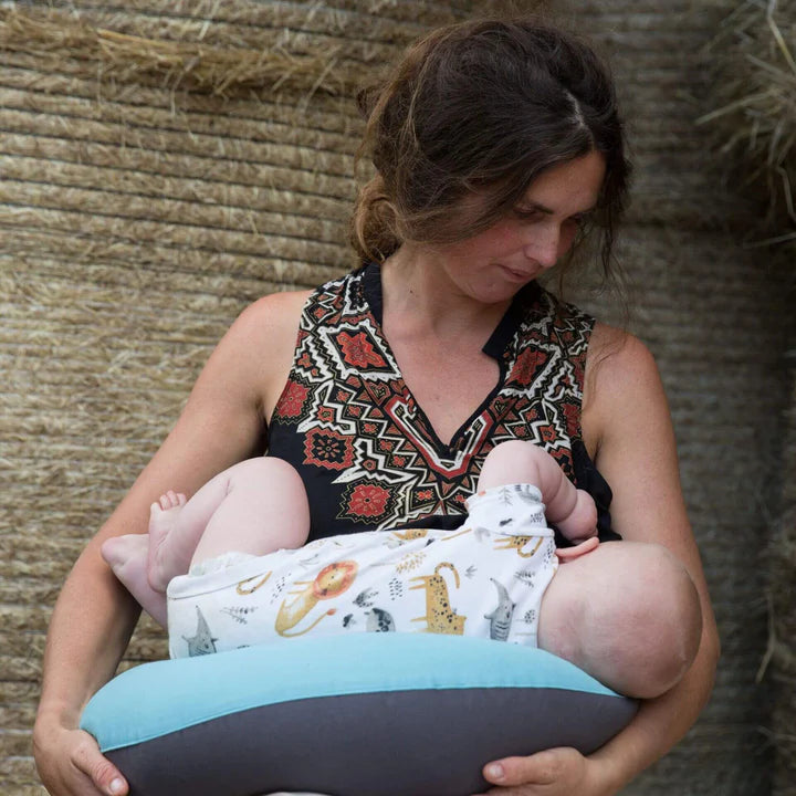 Hippychick Feeding Pillow