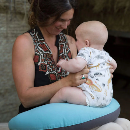 Hippychick Feeding Pillow